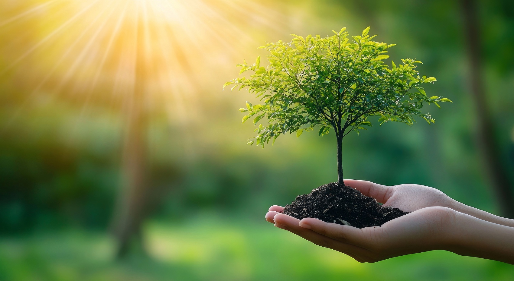 VCG211557691590.jpeg 金贝娱乐